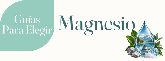 Guia para Elegir un Magnesio de Calidad