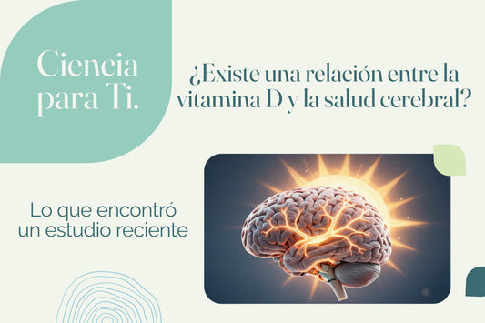 Infografia sobre estudio de la relación entre la vitamina D y la salud cerebral