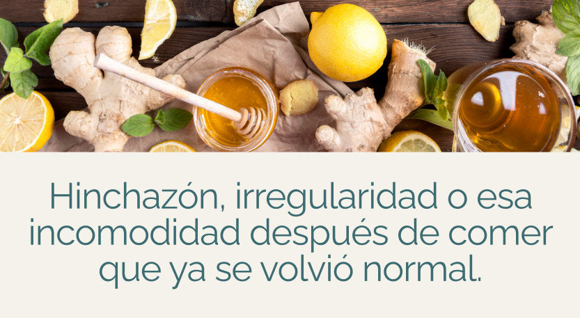 Coleccion Digestion