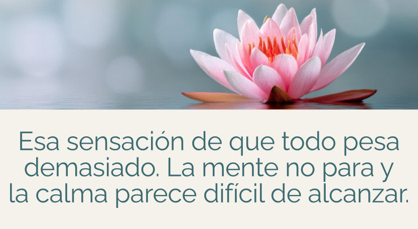 Coleccion estres y ansiedad