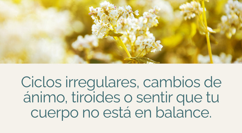 Equilibrio Hormonal