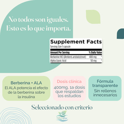 Beneficios de la berberina para glucosa, insulina y lípidos en infografía